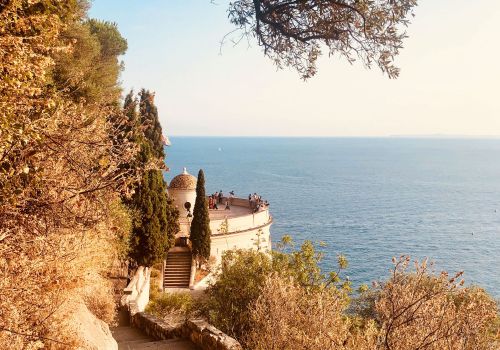 Weinrundgang auf dem Colline du Chateau in Nizza