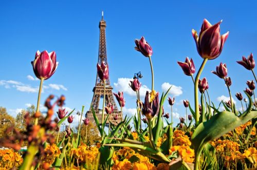 Eiffelturm Paris Frühling